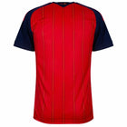 Spain Home Kit - World Cup 2026 – striped retro football jersey back view