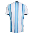 Argentina Home Kit - World Cup 2026 – striped retro football jersey back view