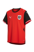 Austria Jersey 4K