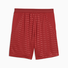 Portugal Home Shorts 2026 - Puma