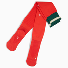 Portugal Home Socks 2026 - Puma